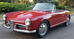 Авточасти за ALFA ROMEO GIULIA (105_) от 1962 до 1979