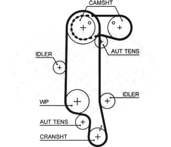 Ангренажен ремък GATES 5565XS за VOLKSWAGEN POLO (6V5) комби от 1997 до 2001