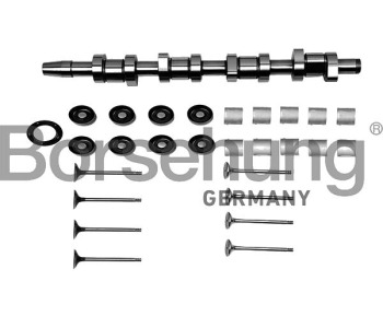 Комплект разпределителен вал BORSEHUNG за SEAT ALHAMBRA (7V8, 7V9) от 1996 до 2010