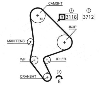 Ангренажен ремък GATES 5558XS за PEUGEOT 807 (E) от 2002