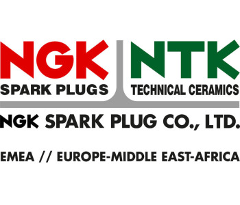 Запалителна свещ (5055) NGK за FORD TRANSIT CONNECT (P65, P70, P80) товарен от 2002 до 2013