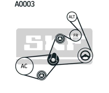 Комплект пистов ремък SKF за SKODA SUPERB I (3U4) от 2001 до 2008