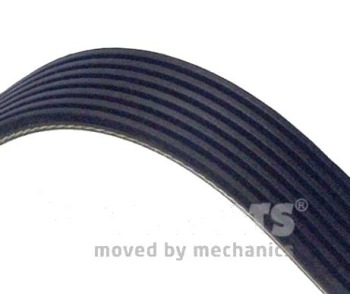 Пистов ремък NIPPARTS J1072000 за TOYOTA AVENSIS (_T25_) седан от 2003 до 2008