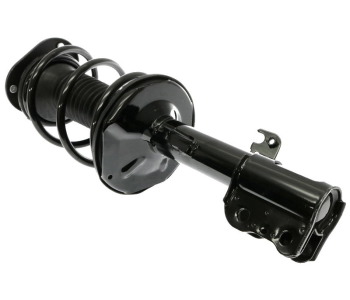 354264-2.jpg