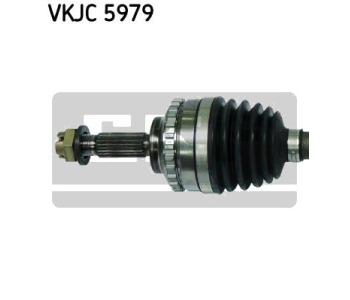 355482-1.jpg