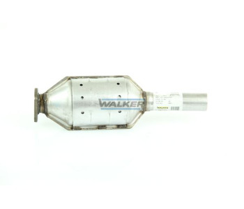 550666-7.jpg