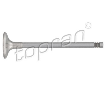 Всмукателен клапан TOPRAN 107 134 за AUDI A6 Avant (4F5, C6) от 2005 до 2011