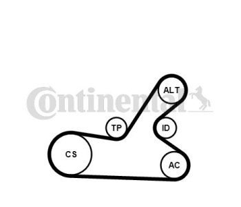 Водна помпа + комплект пистови ремъци клиновидно оребряване CONTINENTAL CTAM 6PK1180WP2 за FIAT PUNTO GRANDE (199) от 2005 до 2012