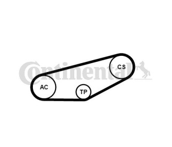 Комплект пистов ремък CONTINENTAL CTAM 4PK855K1 за VOLKSWAGEN PASSAT B5 (3B5) комби от 1997 до 2000