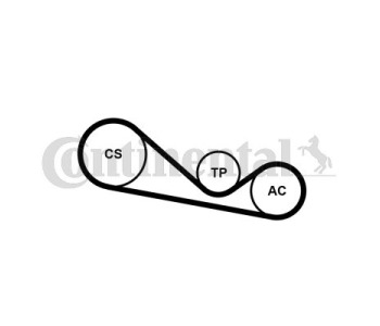 Комплект пистов ремък CONTINENTAL CTAM 4PK1237K1 за VOLKSWAGEN PASSAT B5.5 (3B6) комби от 2000 до 2005