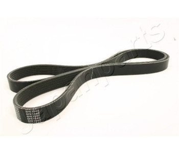 Пистов ремък JAPANPARTS DV-6PK1890 за TOYOTA RAV4 II (_A2_) от 2000 до 2005