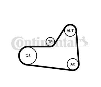 Комплект пистов ремък CONTINENTAL CTAM 6PK1125K1 за CITROEN C2 (JM) от 2003 до 2009