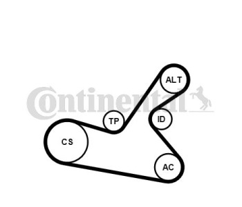 Комплект пистов ремък CONTINENTAL CTAM 6PK1153K2 за CITROEN C4 I (LC) от 2004 до 2011