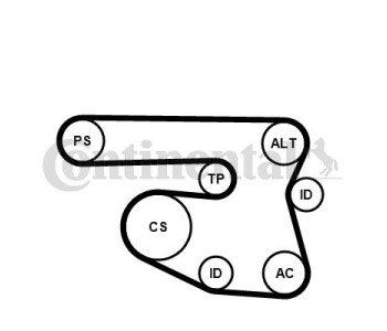 Комплект пистов ремък CONTINENTAL CTAM 6PK2160D1 за MERCEDES C (S202) комби от 1996 до 2001