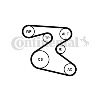 Комплект пистов ремък CONTINENTAL CTAM 6PK2196D1 за MERCEDES C (S202) комби от 1996 до 2001