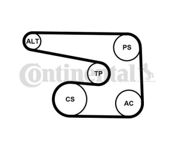 Комплект пистов ремък CONTINENTAL CTAM 6PK2240D1 за MERCEDES C (S202) комби от 1996 до 2001