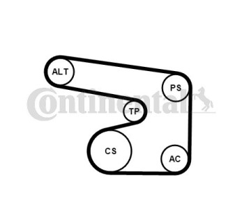 Комплект пистов ремък CONTINENTAL CTAM 6PK2260D1 за MERCEDES C (CL203) SPORTCOUPE от 2001 до 2008