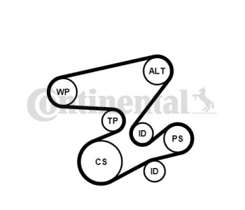 Комплект пистов ремък CONTINENTAL CTAM 6PK2260K2 за MERCEDES CLK (W209, C209) от 2002 до 2009