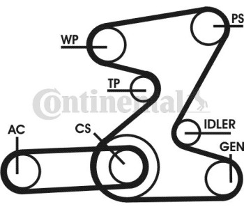 Комплект пистов ремък CONTINENTAL CTAM 6PK2260K1 за MERCEDES CLK (W209, C209) от 2002 до 2009
