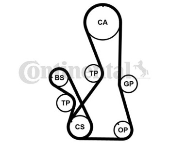 Комплект ангренажен ремък CONTINENTAL CTAM CT1025K1 за RENAULT LAGUNA II (KG0/1_) комби от 2001 до 2007