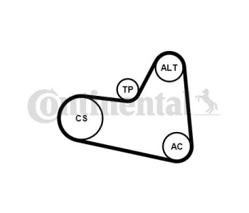 Комплект пистов ремък CONTINENTAL CTAM 7PK1795K1 за NISSAN INTERSTAR (X70) пътнически от 2002