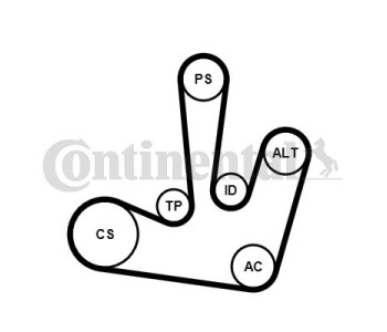 Комплект пистов ремък CONTINENTAL CTAM 6PK1873K3 за OPEL ASTRA G (F67) кабриолет от 2001 до 2005