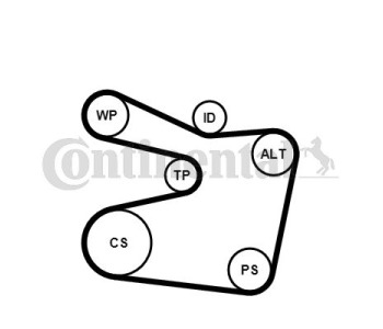 Водна помпа + комплект пистови ремъци клиновидно оребряване CONTINENTAL CTAM 6PK1642WP1 за VOLVO V40 (VW) комби от 1995 до 2004