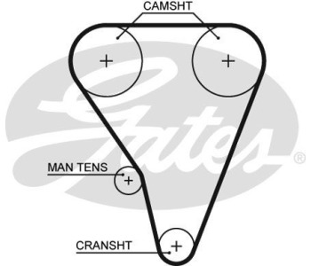 Ангренажен ремък GATES 5391XS за RENAULT LAGUNA I (B56_, 556_) от 1993 до 2002