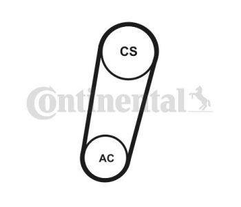 Пистов ремък CONTINENTAL CTAM 6DPK1853 за PORSCHE BOXSTER (987) от 2004 до 2011