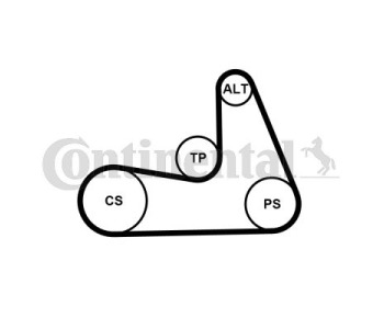 Комплект пистов ремък CONTINENTAL CTAM 5PK1121 EXTRA K1 за VOLVO V70 III (BW) комби от 2007 до 2017